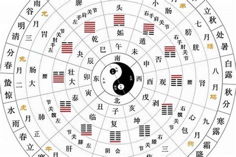 天干地支的五行|天干地支五行对照表